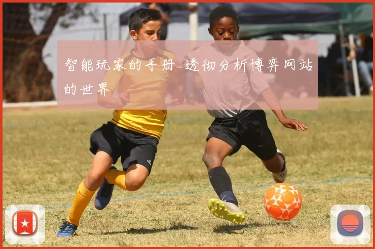 智能玩家的手册_透彻分析博弈网站的世界
