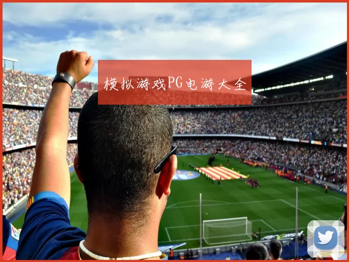 模拟游戏PG电游大全