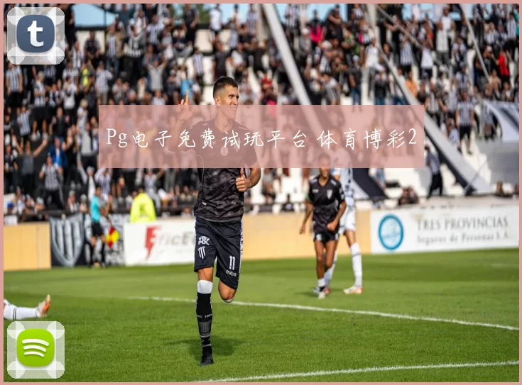 Pg电子免费试玩平台 体育博彩2