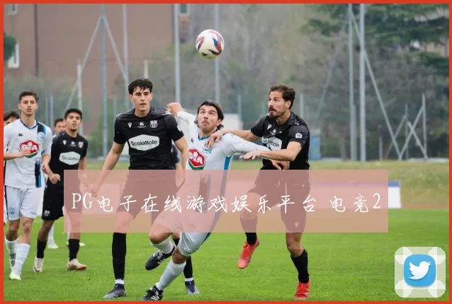 PG电子在线游戏娱乐平台 电竞2