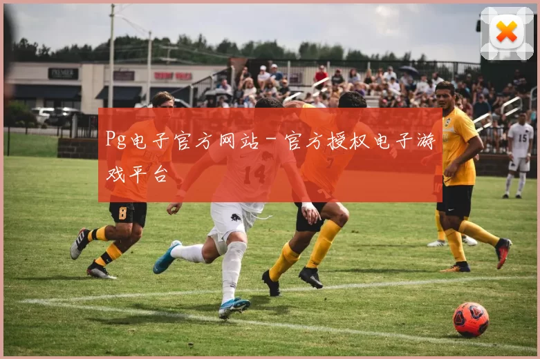 Pg电子官方网站 - 官方授权电子游戏平台