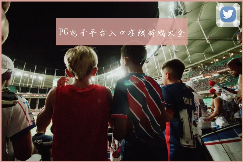 PG电子平台入口在线游戏大全