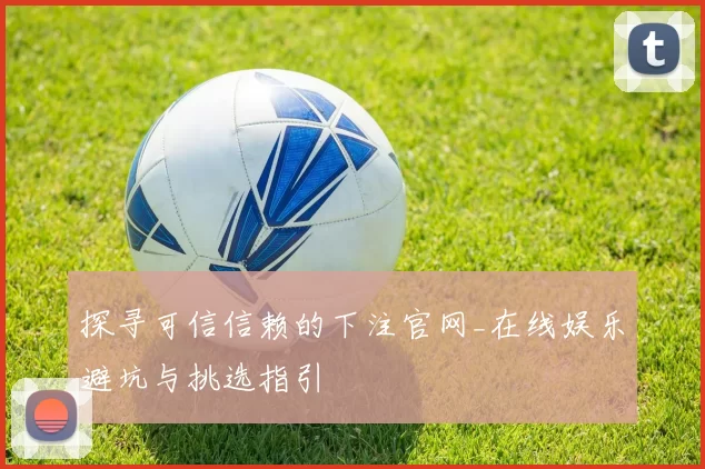 探寻可信信赖的下注官网_在线娱乐避坑与挑选指引
