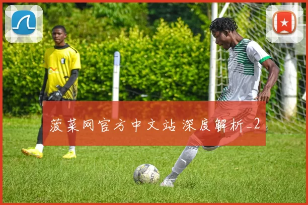 菠菜网官方中文站 深度解析_2