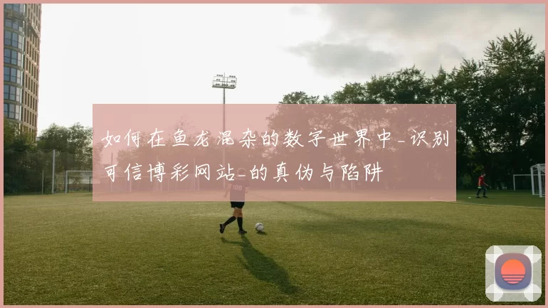 如何在鱼龙混杂的数字世界中_识别可信博彩网站_的真伪与陷阱