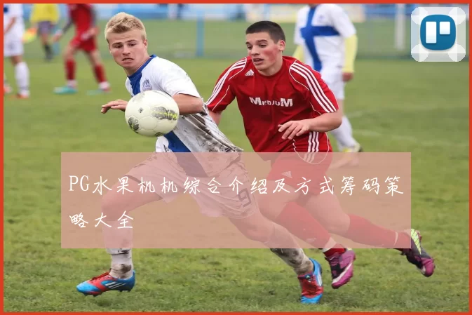 PG水果机机综合介绍及方式筹码策略大全
