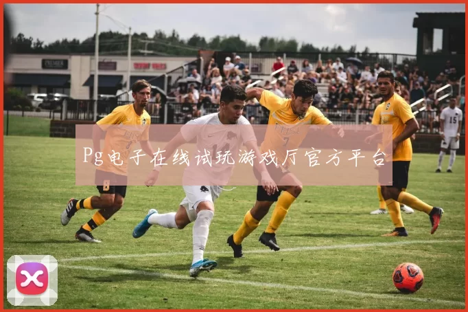 Pg电子在线试玩游戏厅官方平台