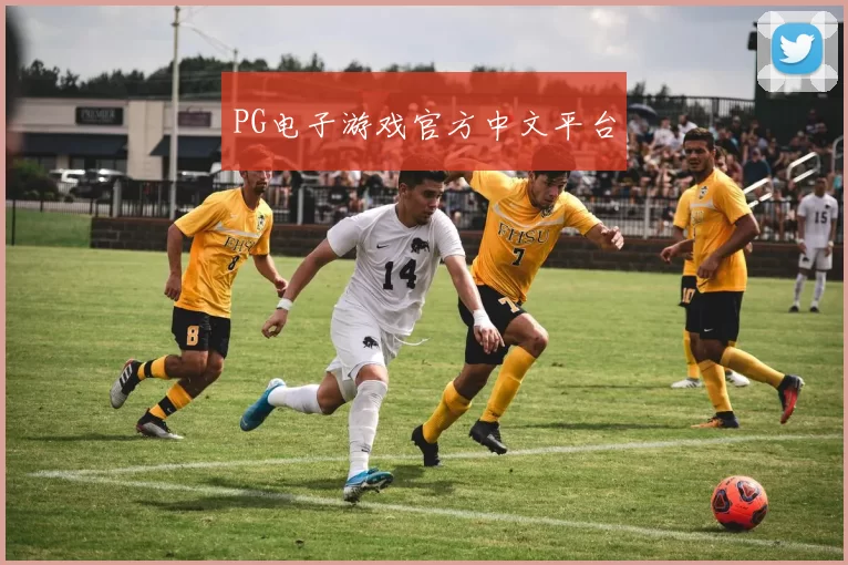 PG电子游戏官方中文平台