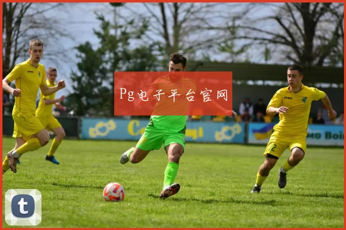 Pg电子平台官网