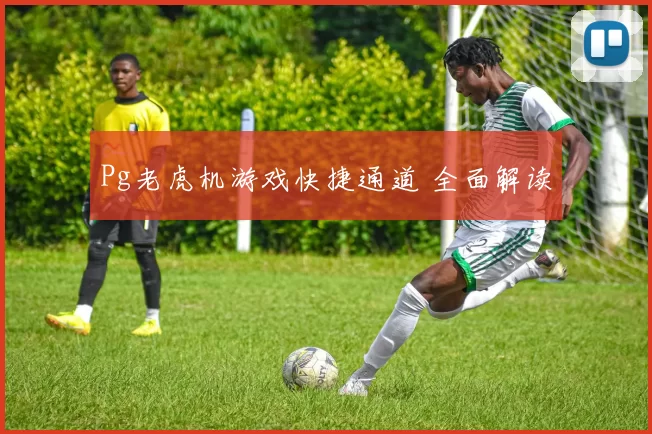 Pg老虎机游戏快捷通道 全面解读