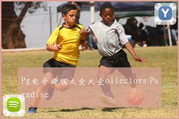 Pg电子游戏大全大全ollectors Paradise