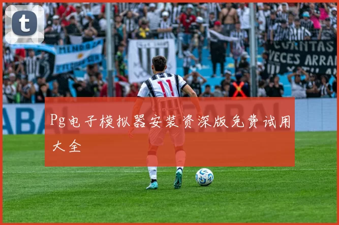 Pg电子模拟器安装资深版免费试用大全