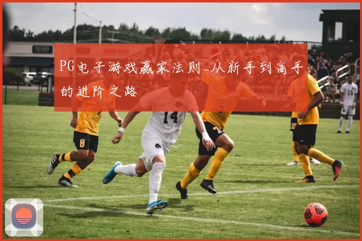 PG电子游戏赢家法则_从新手到高手的进阶之路