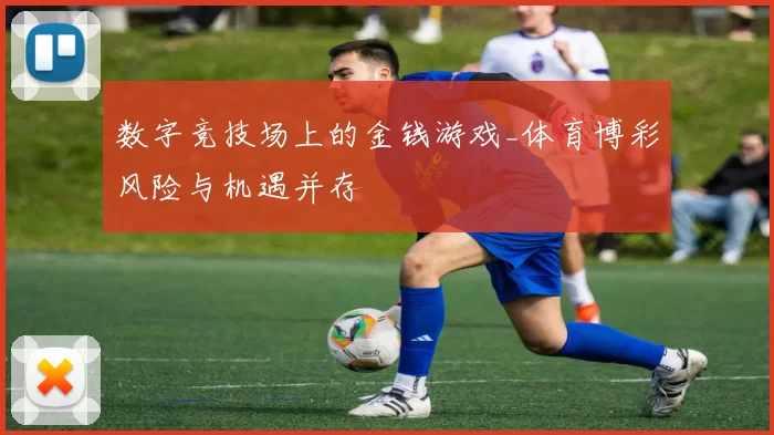 数字竞技场上的金钱游戏_体育博彩风险与机遇并存