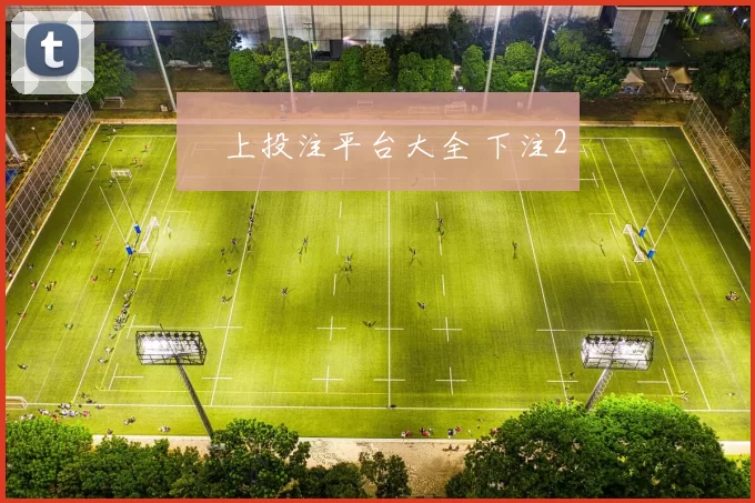 網上投注平台大全 下注2