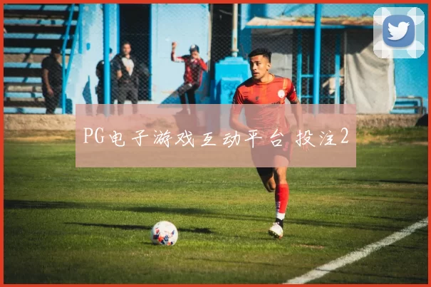 PG电子游戏互动平台 投注2