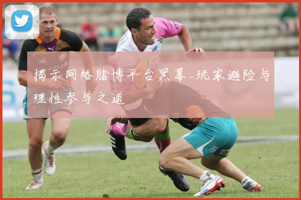 揭示网络赌博平台黑幕_玩家避险与理性参与之道