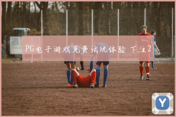 PG电子游戏免费试玩体验 下注2