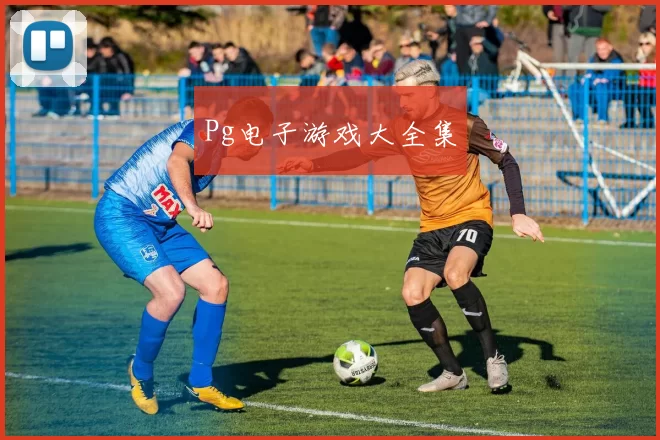 Pg电子游戏大全集