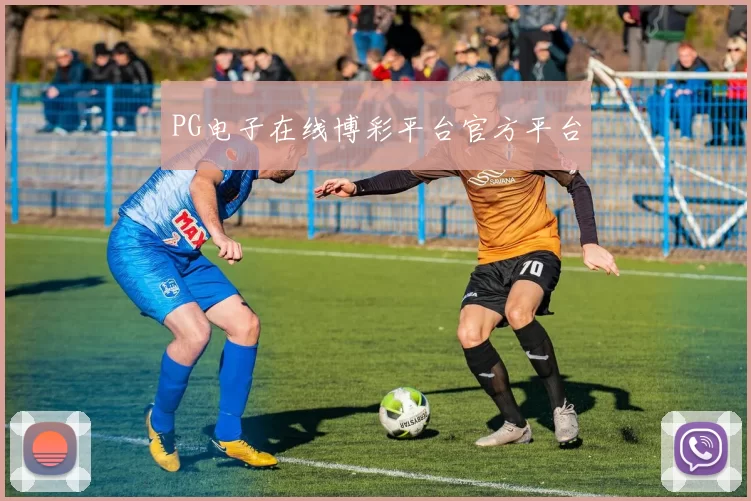 PG电子在线博彩平台官方平台
