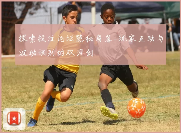 探索投注论坛隐秘角落_玩家互助与波动识别的双刃剑