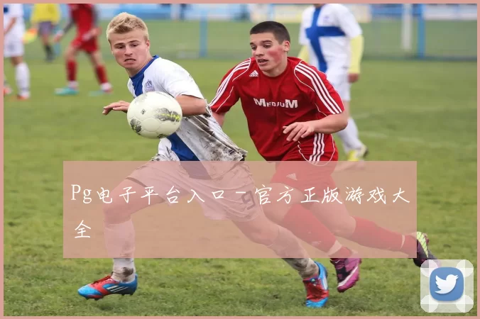 Pg电子平台入口 - 官方正版游戏大全